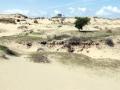16-DSC00150-