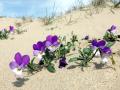 19-DSC00076-
