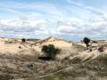 20-DSC00163-