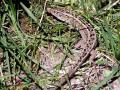 23-DSC00243-