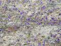 33-DSC00365-