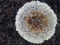 34-DSC00356-