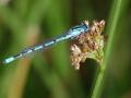 02-DSC08156-.
