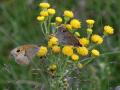 03-DSC08166-