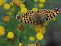 09-DSC08034-