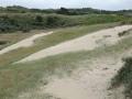 12-DSC08053-