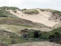15-DSC07568-