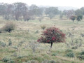 05-DSC07842-
