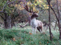 24-DSC08460-