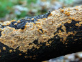57-DSC08523-