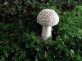 62-DSC07932-