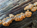 04-DSC09670-