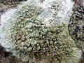 05-DSC09729-
