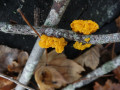 08-DSC09735-