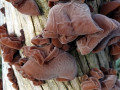 10-DSC09769-