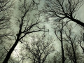 16-DSC09898