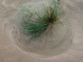 19-DSC09452-
