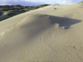 21-DSC09463-