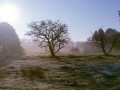 35-DSC09575-