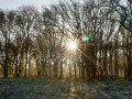 37-DSC09589-