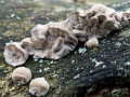 38-DSC09880-