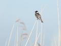 07-DSC02422-
