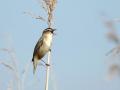 08-DSC02445-