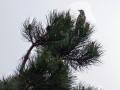 09-DSC02516-