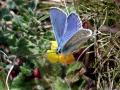 11-DSC03086-