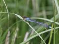 15-DSC03317-