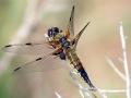 16-DSC02634-