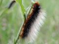 21-DSC02839-