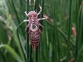 23-DSC02674-