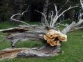 26-DSC02891-.