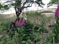 32-DSC03018-