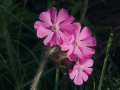 06-DSC04970-