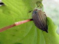 07-DSC04321-