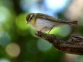 20-DSC04616-