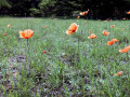 24-DSC04706-
