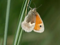 28-DSC04829-