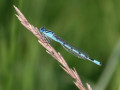 29-DSC04835-
