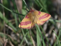 31-DSC04849-