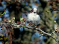 32-DSC04980-