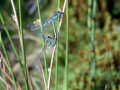 36-DSC04861-