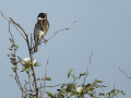 39-DSC04891-