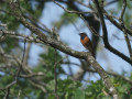 40-DSC04928-