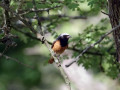 41-DSC04925-