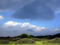 03-DSC01052-.