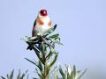 19-DSC01024-