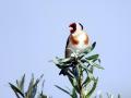 20-DSC01025-